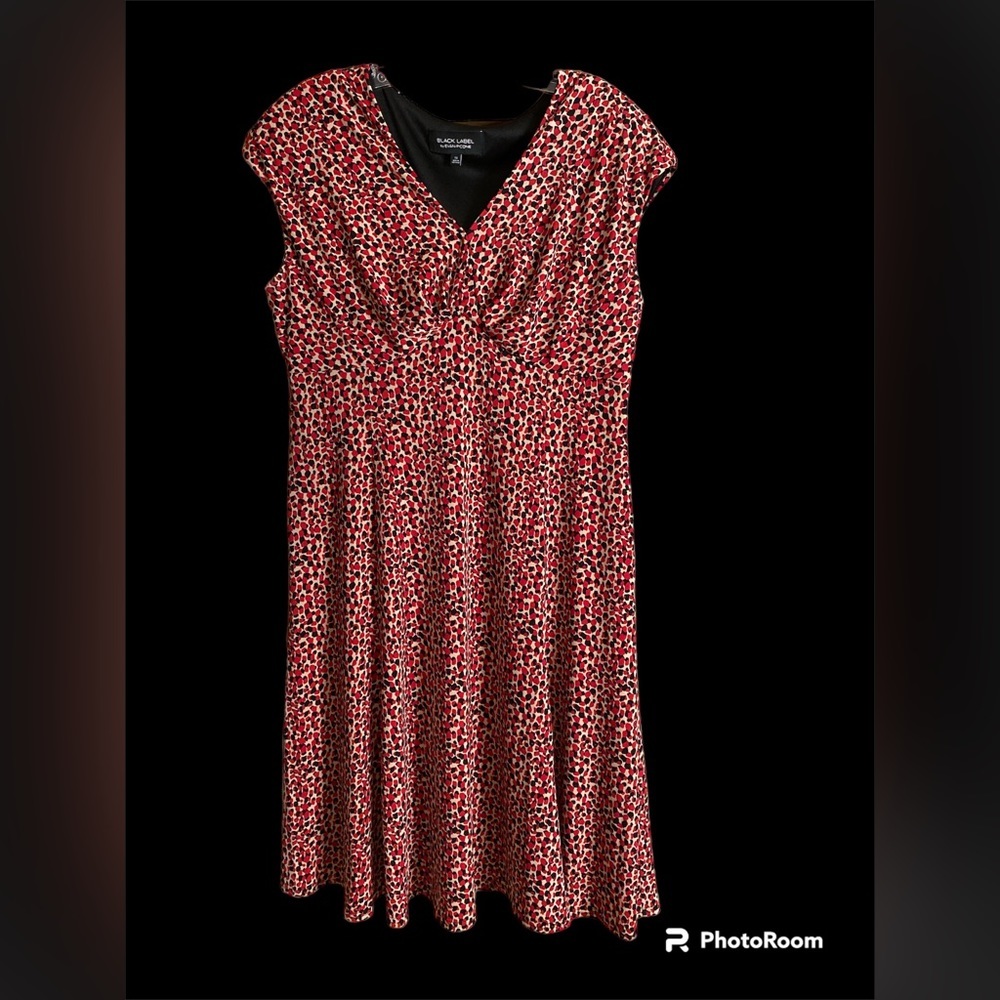 Black Label Sleeveless V-neck dress, fit and flairs at hem 14 red cream …